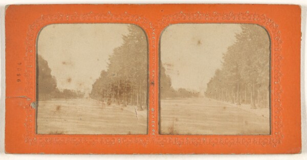 Unknown, [Champs Elysees]