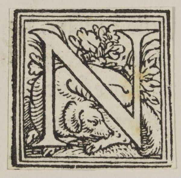 Unknown, Print