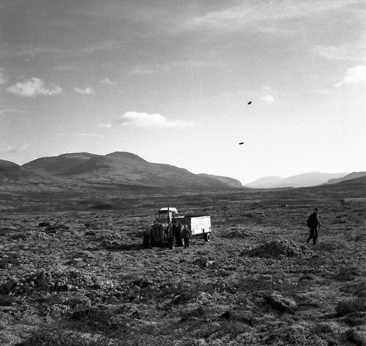 Per Magne Grue, Måssåtaking i Øversjødalen.