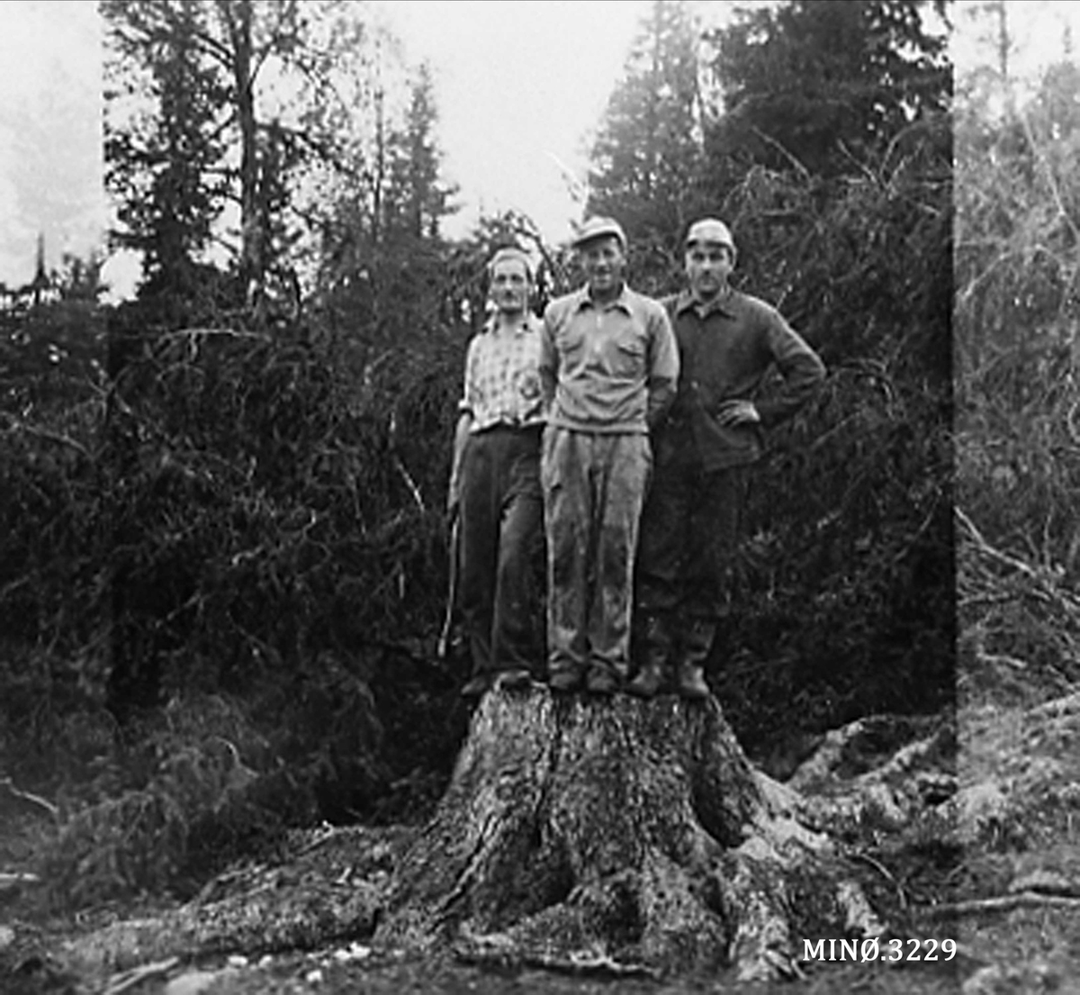 Jo Øvergaard, Tre skogsarbeidere i skogen.