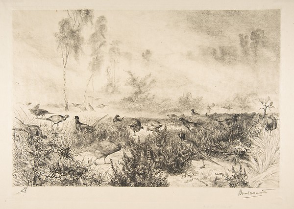 Félix Bracquemond, Brumes du matin