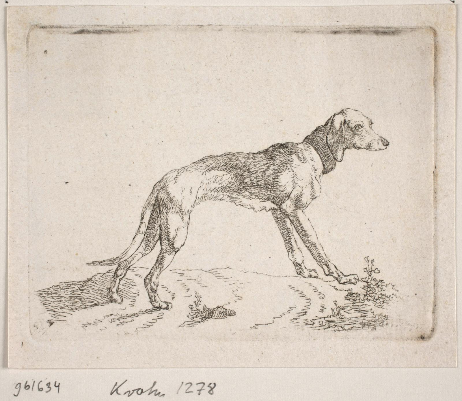 Christian David Gebauer, Minette