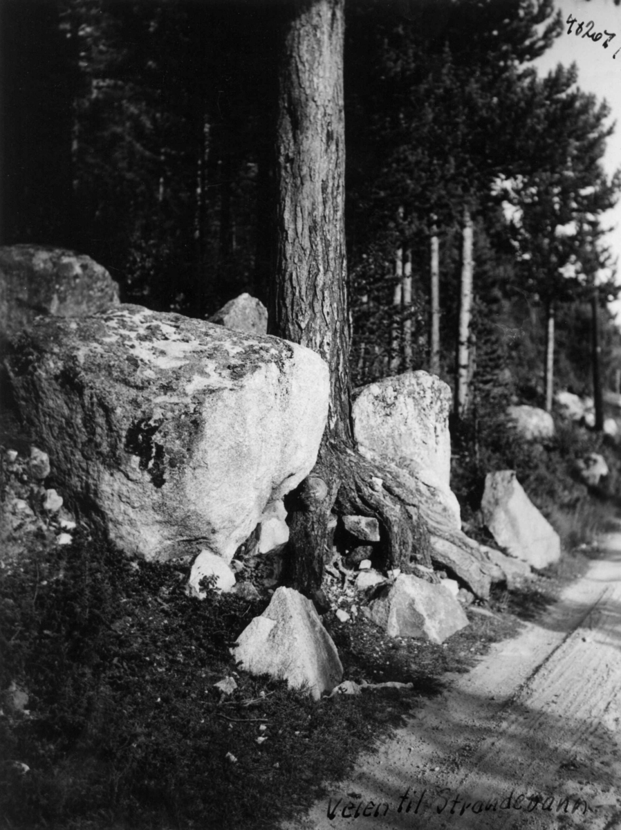 Anders Beer Wilse, Ved Sundalsfjorden, Landskap