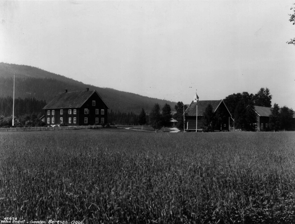 Anders Beer Wilse, Boressen gård