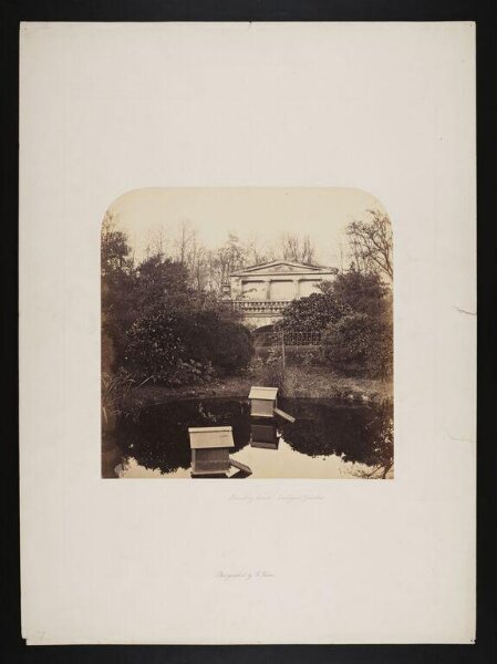 Fenton, Roger, Breeding pond