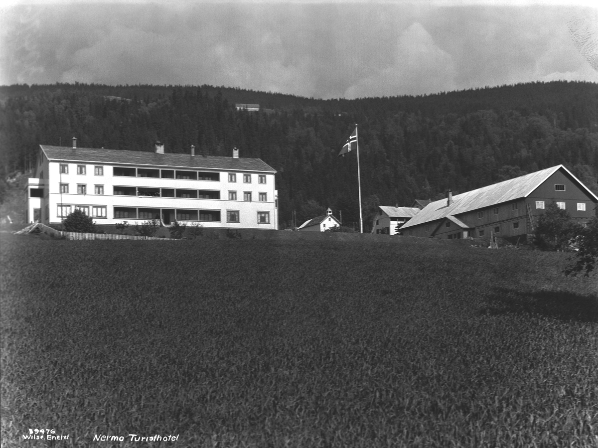 Anders Beer Wilse, Prot: Nermo Turisthotel