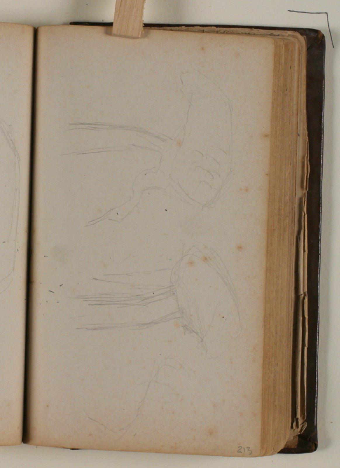 Niels Larsen Stevns, Studier af stork eller hejre
