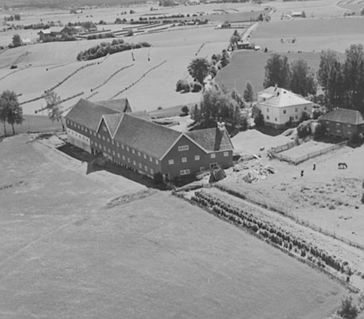 Widerøes Flyveselskap A/S, FLYFOTO ØSTBY, ROMEDAL