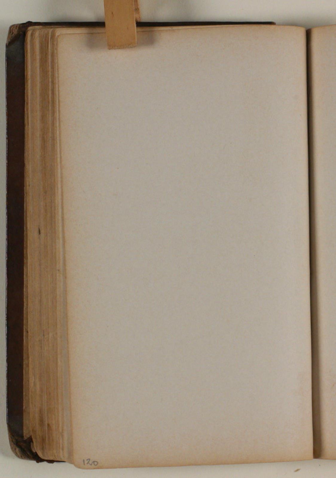 Niels Larsen Stevns, Blank