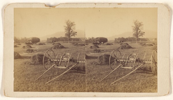 Unknown, [Hay in field with gathering machines]