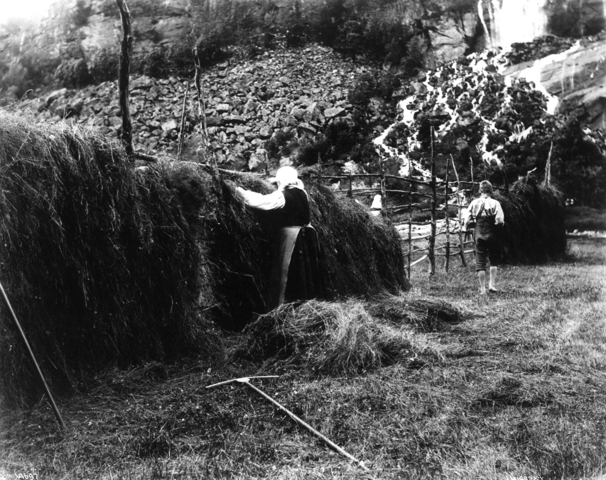 Anders Beer Wilse, Hesjing av høy, høyonn.