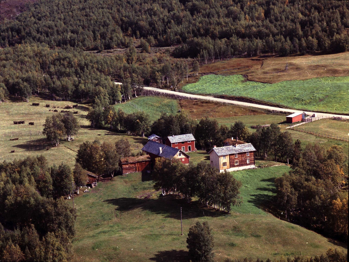 Widerøes Flyveselskap A/S, Gårdsbruk.