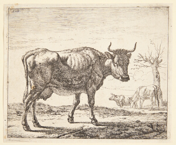 Adriaen van de Velde, Tre køer