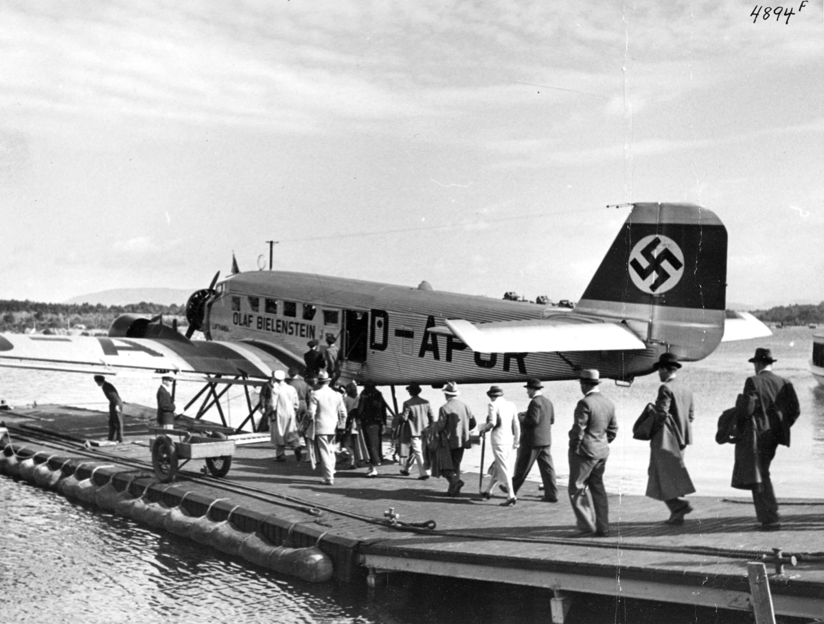 Anders Beer Wilse, Fly