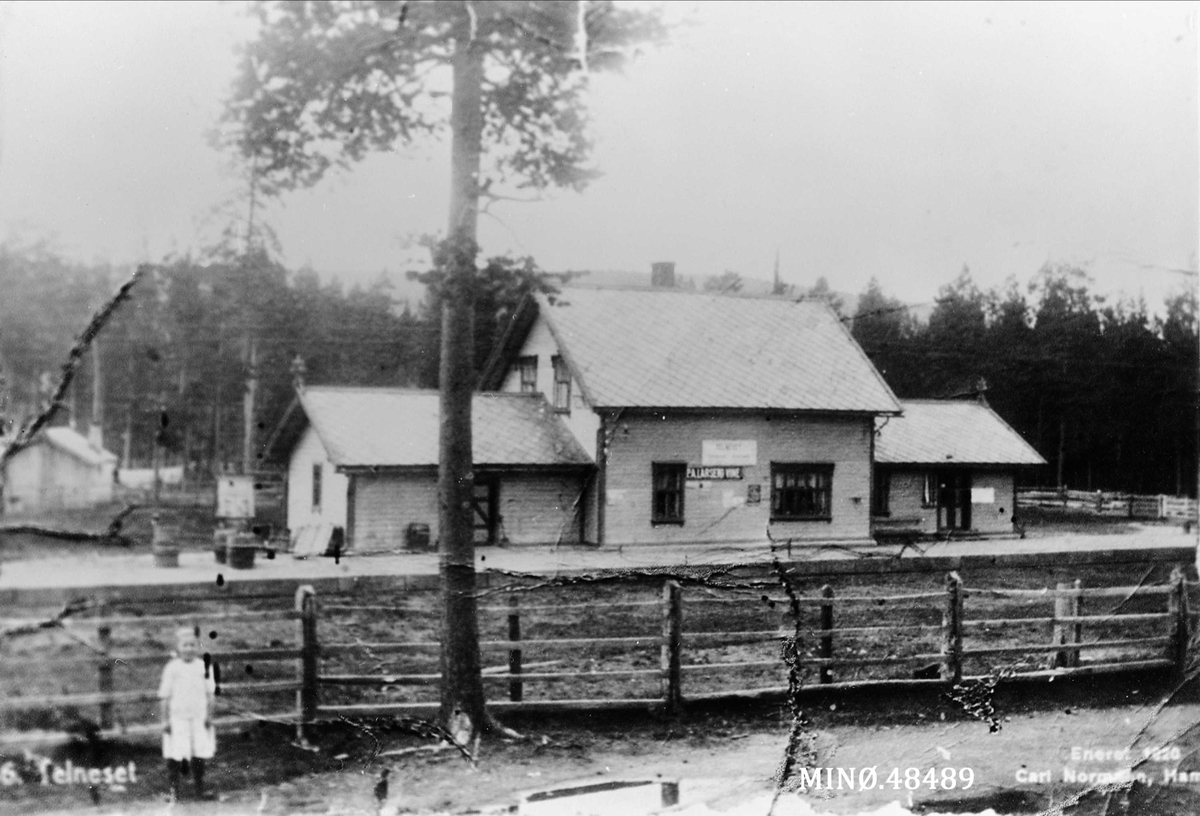 Carl Gustav Normann, Olaug Kroken foran Telneset jernbanestasjon