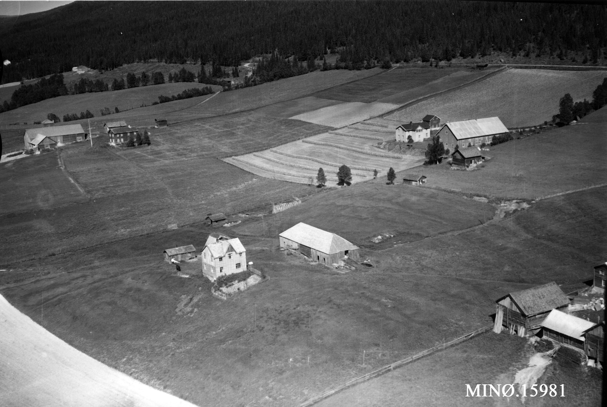 Widerøes Flyveselskap A/S, Gardsbruk, Brandvold, Hauen
