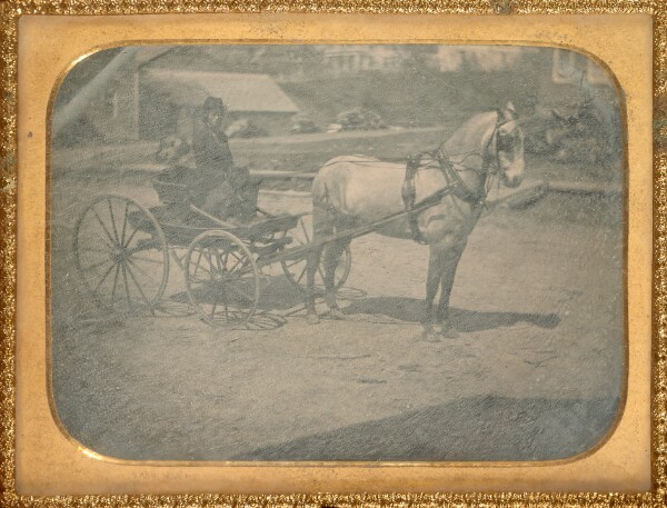 Unknown, [Horse and buggy with driver on seat with dog]