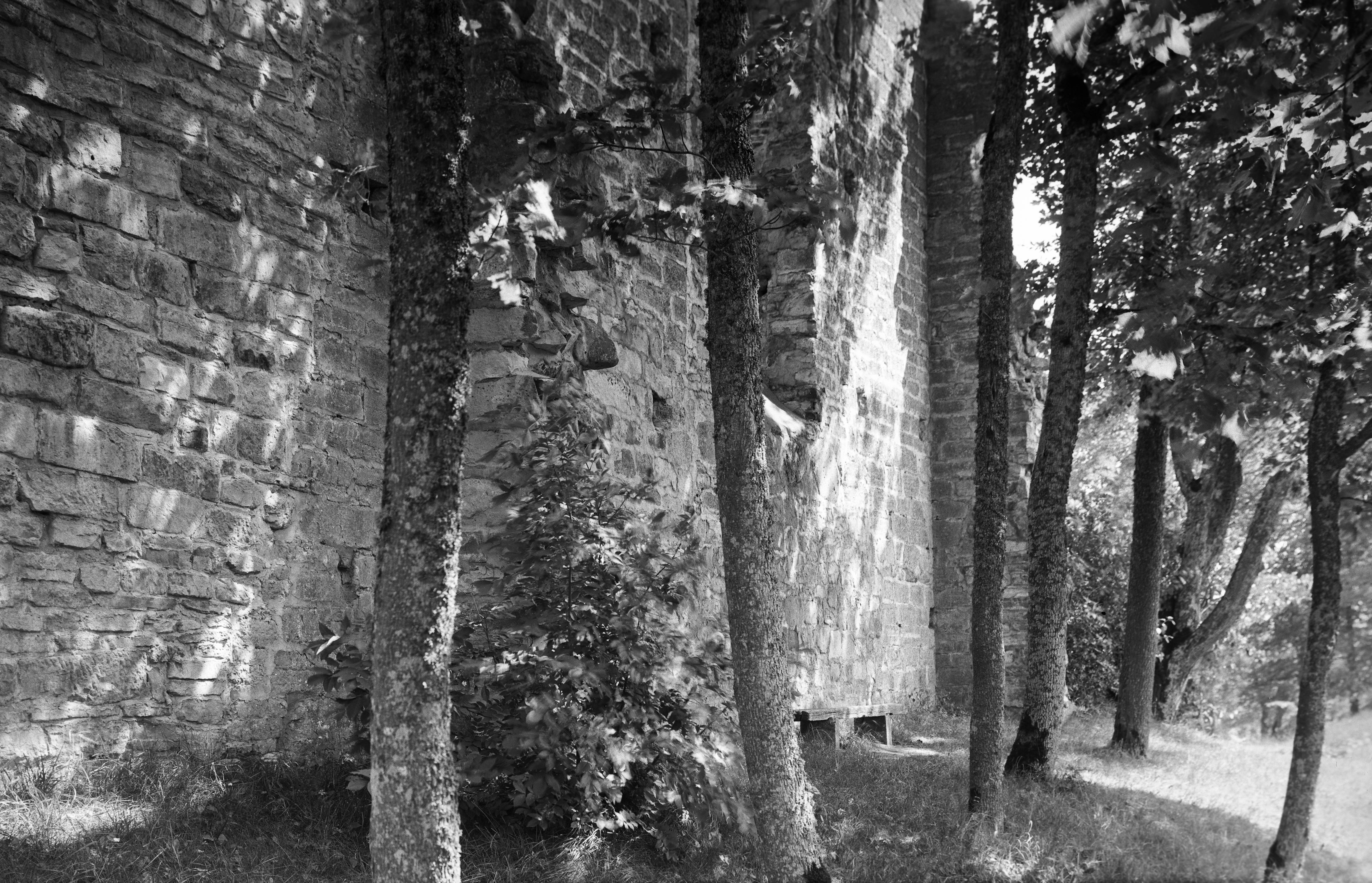 Mårten Sjöbeck, Riseberga kloster