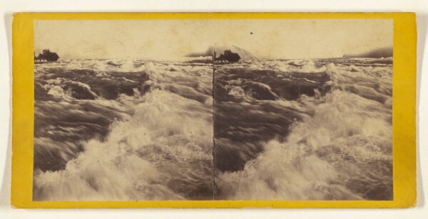Edward and Henry T. Anthony & Co., The Rapids.