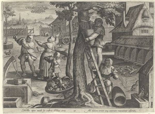 Galle, Philippe, (1537-1612), (printmaker), The hunting parties: Bee keeping