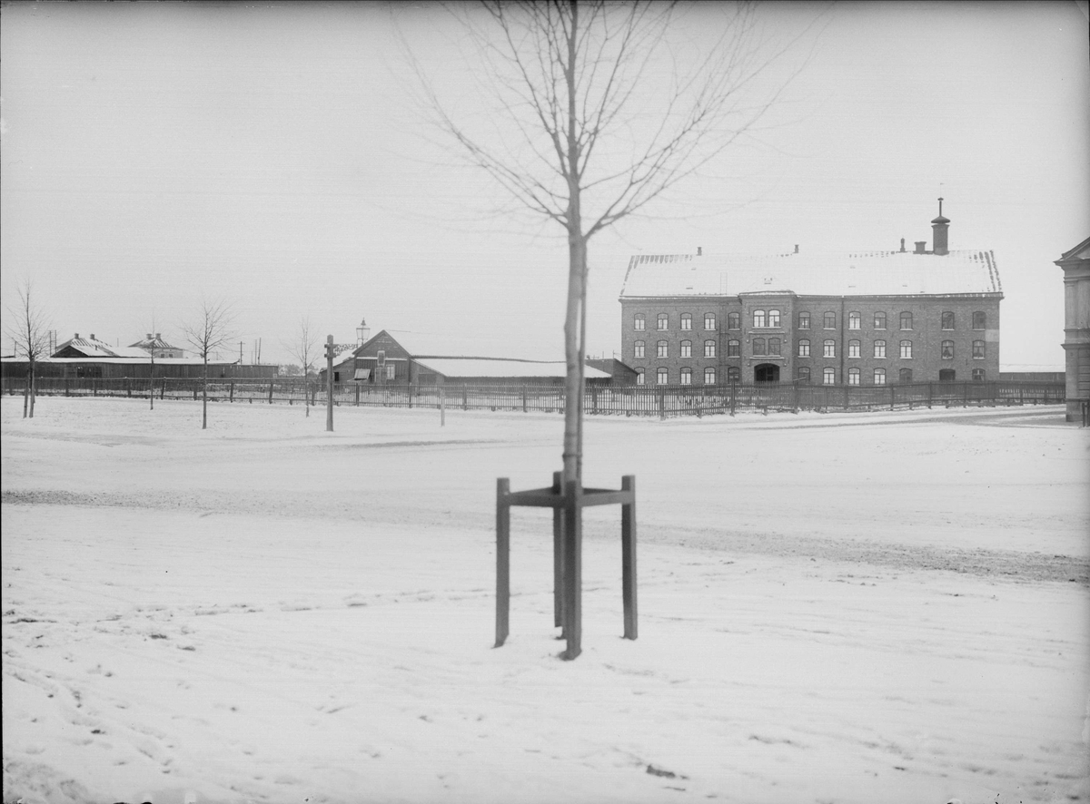 Alfred Dahlgren, The Hamnesplanaden - DragarbrunnsHam, Kungbed, Uppsala 1901 - 1902