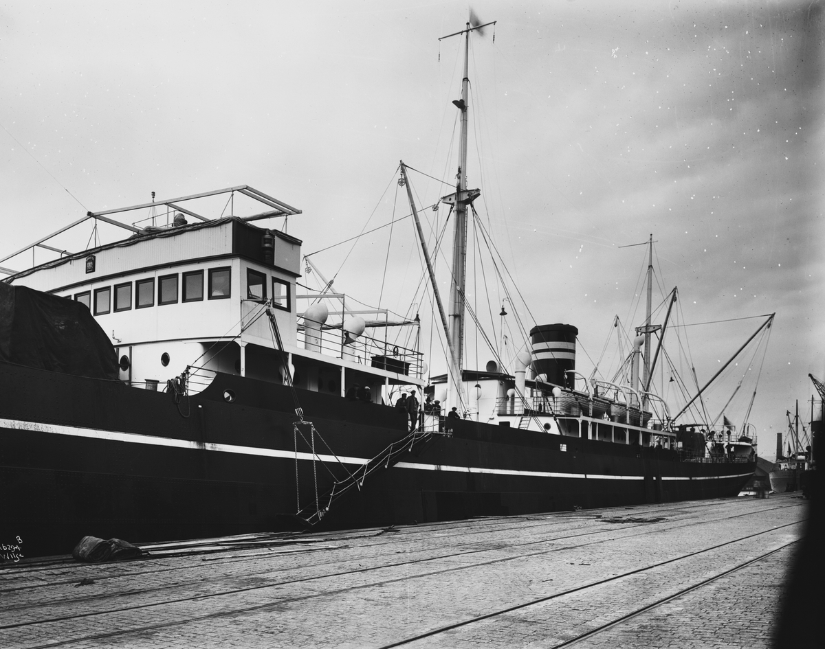Anders Beer Wilse, Prot: Thalatta D.S. Wilhelmsen