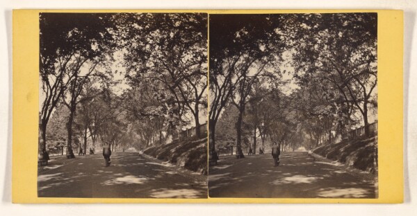 John B. Heywood, Beacon Street Mall. [Boston, Mass.]