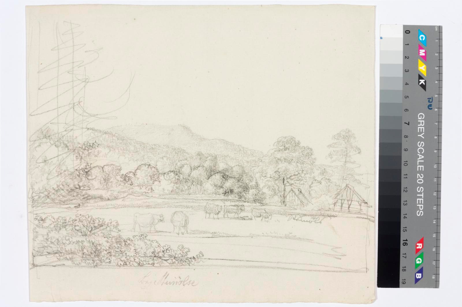 tundmatu kunstnik (autor), landscape with a herd of cows/House