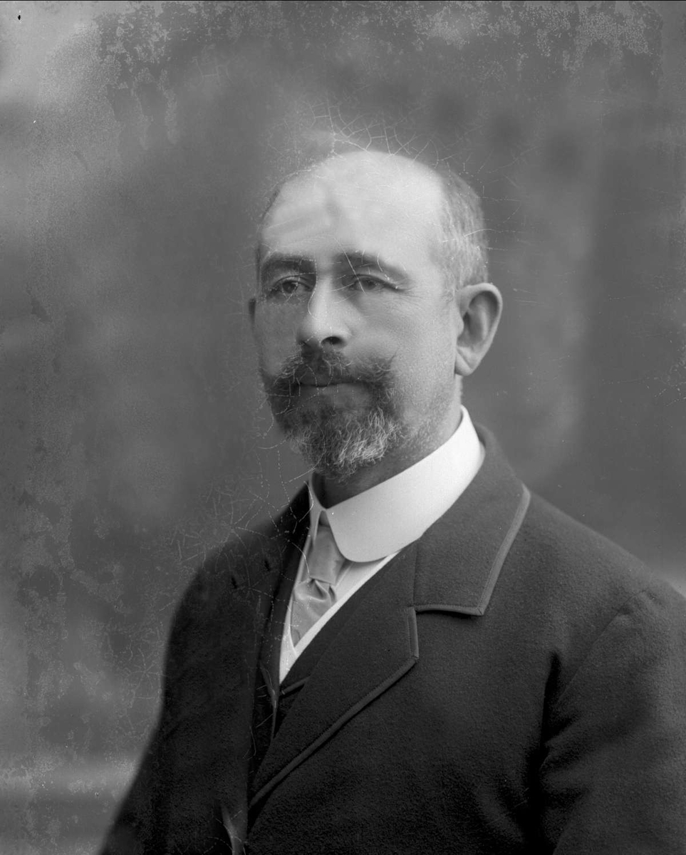 Gustav Borgen, Portrett, Mads Wiel (1861-1929).