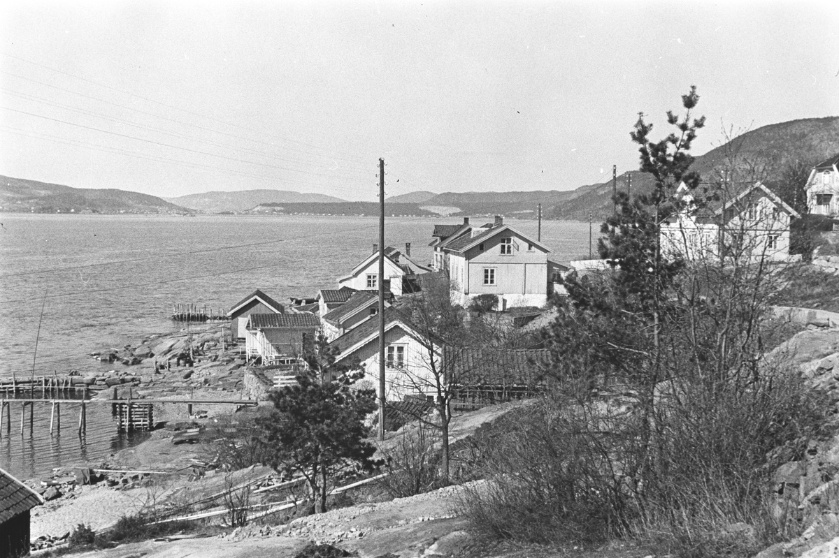 Anders Beer Wilse, Prot: Skog Hurum