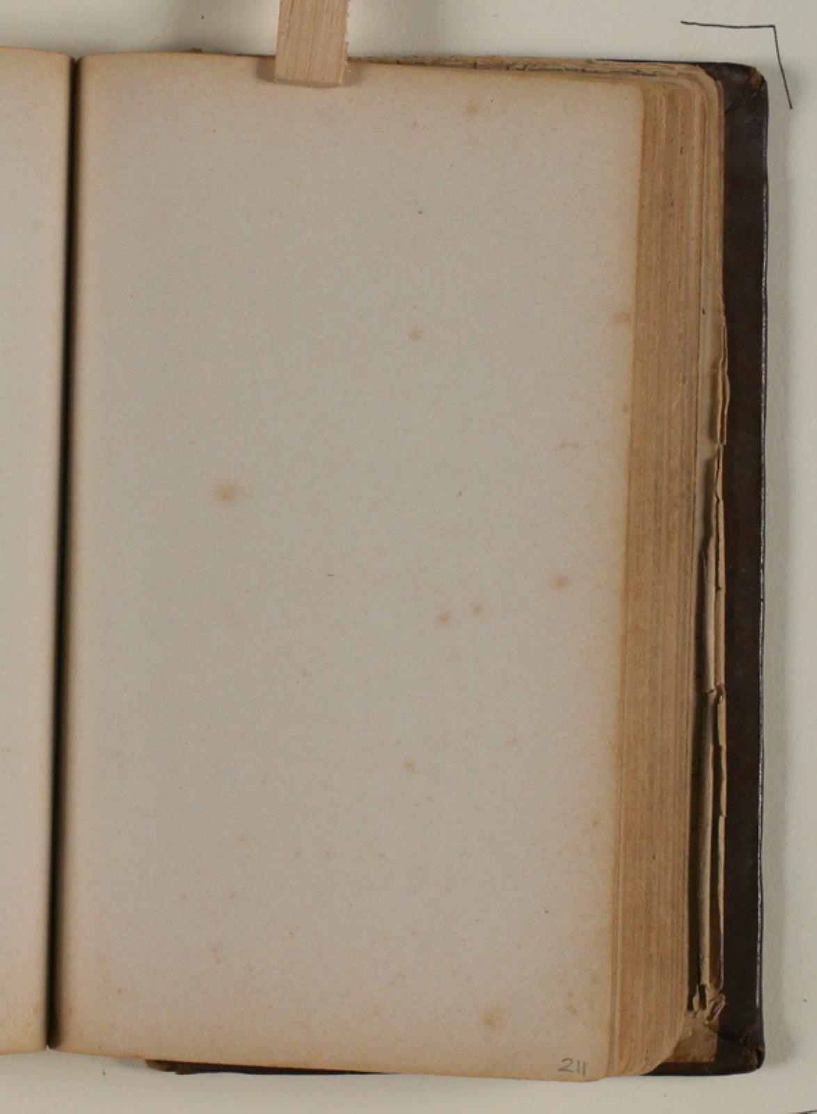 Niels Larsen Stevns, Blank