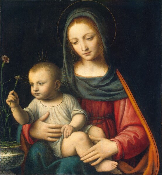 Bernardino Luini, The Madonna of the Carnation