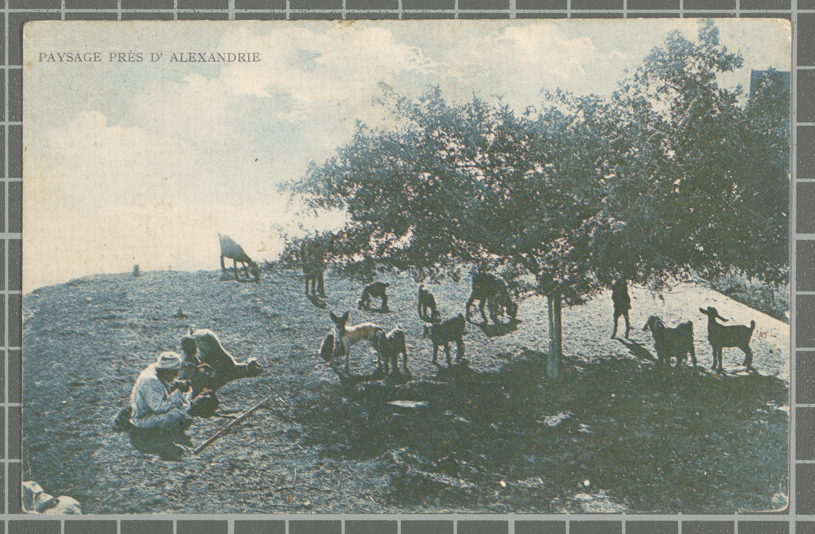 Desconegut, Paysage près d'Alexandrie