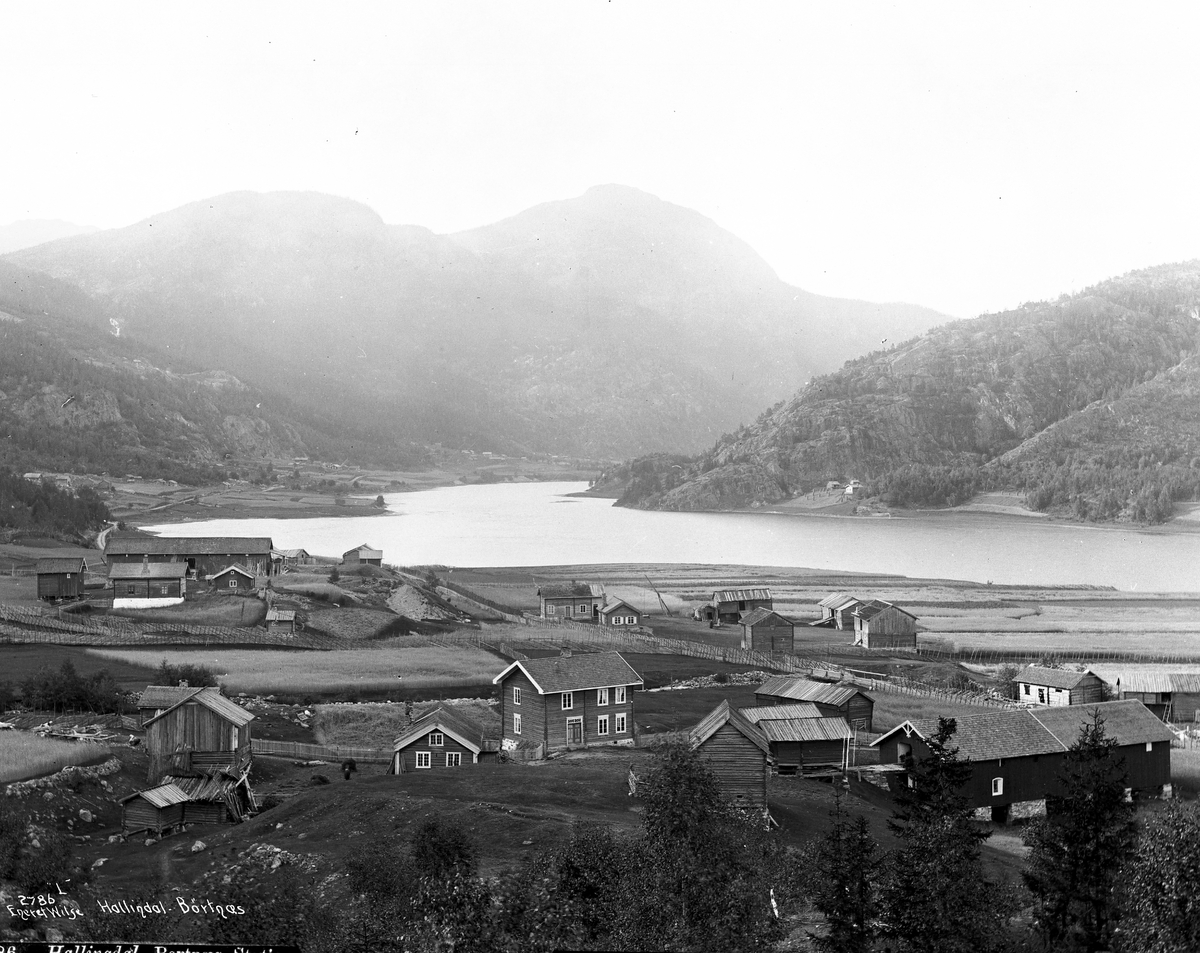 Axel Lindahl, "Prot: Hallingdal Børtnæs Station