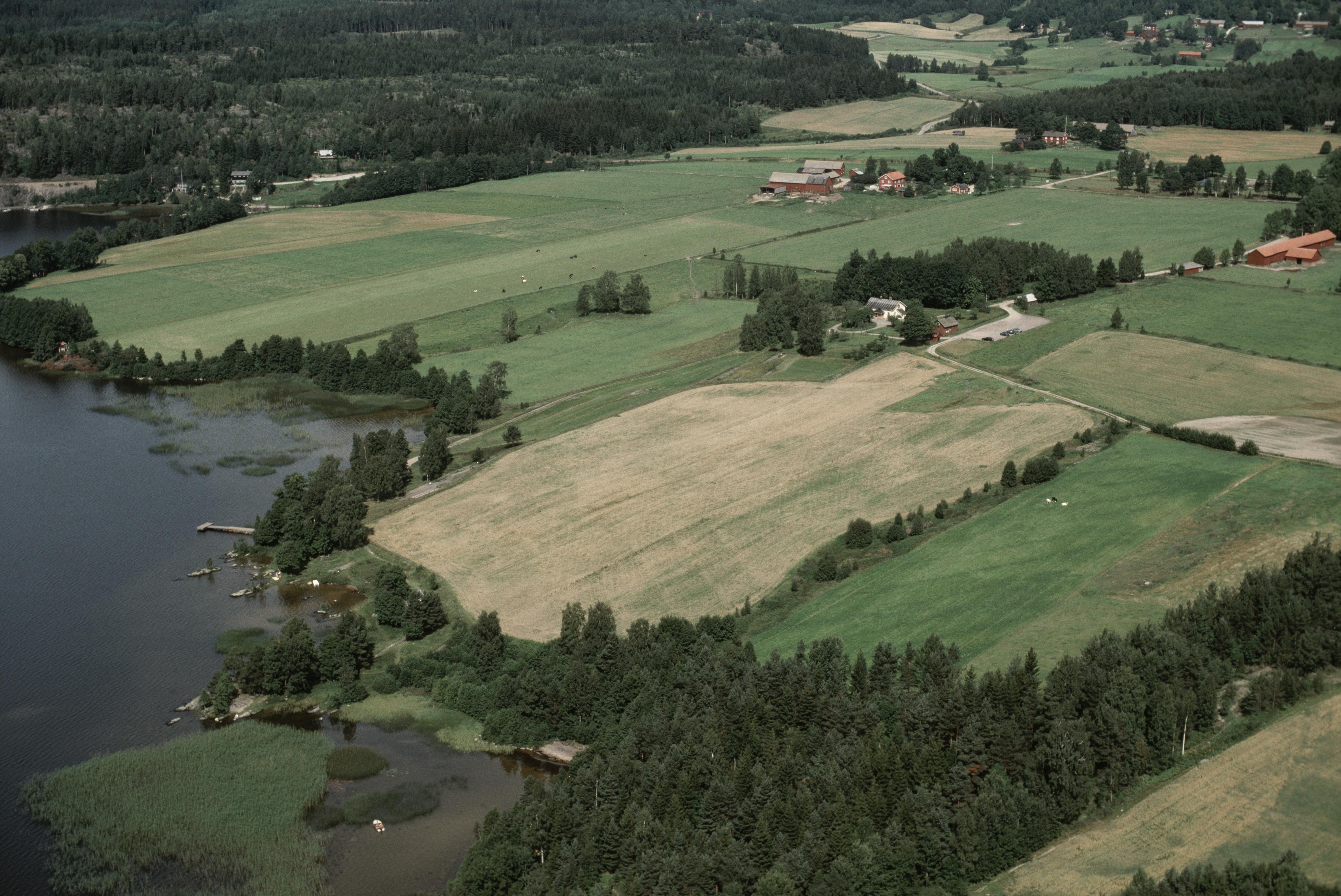 Jan Norrman, Tisselskog 13:1