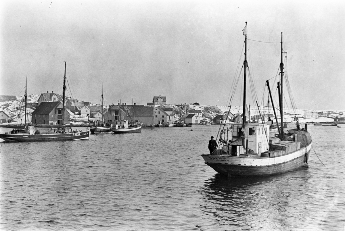 Anders Beer Wilse, Prot: Tananger fiske
