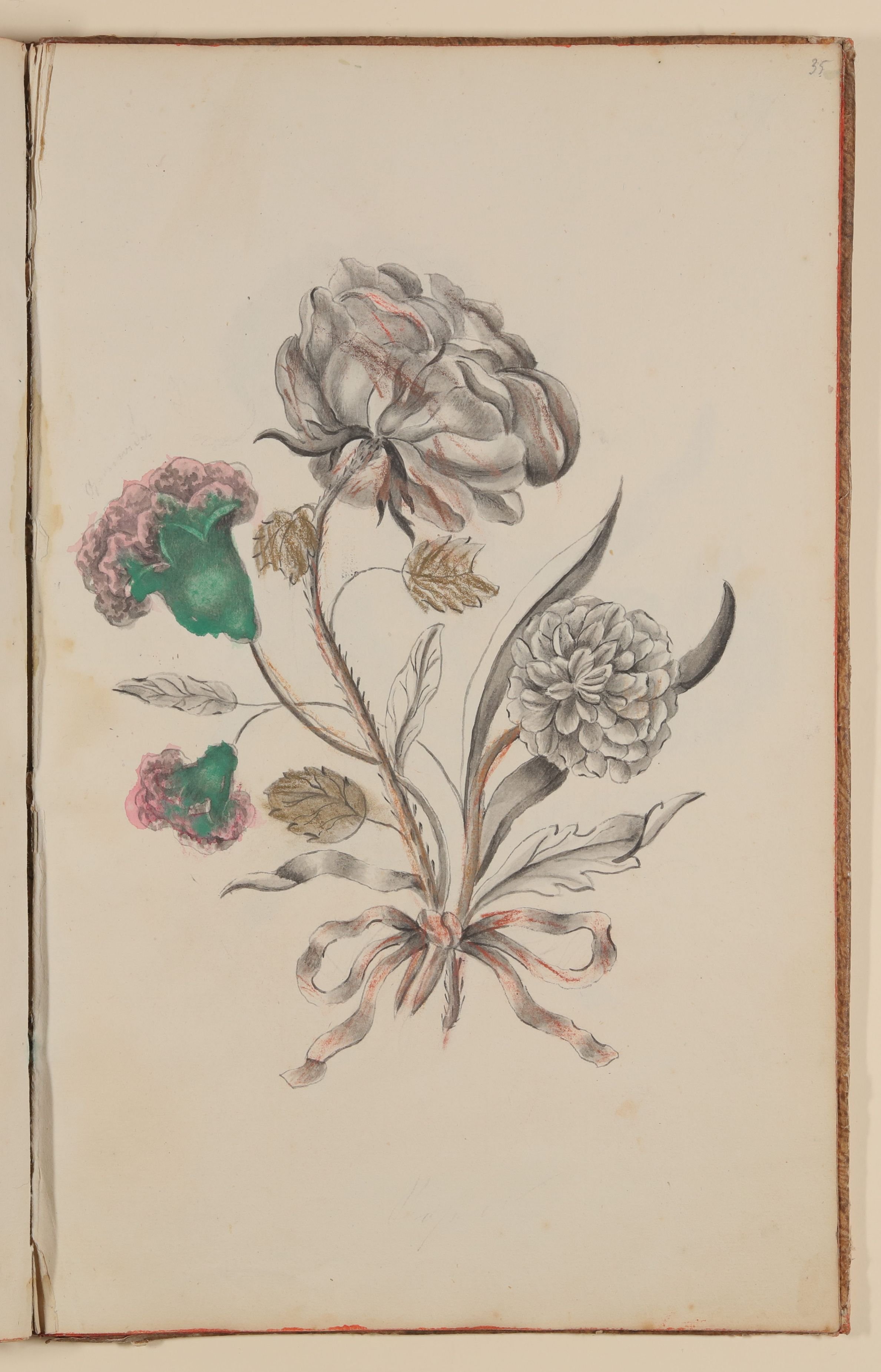 Marianne Franziska Seiffert von Klettenberg, Blumenstrauß mit Dahlie, Rosen und Nelken [aus einem Skizzenbuch der Marianne Franziska Seiffert von Klettenberg]