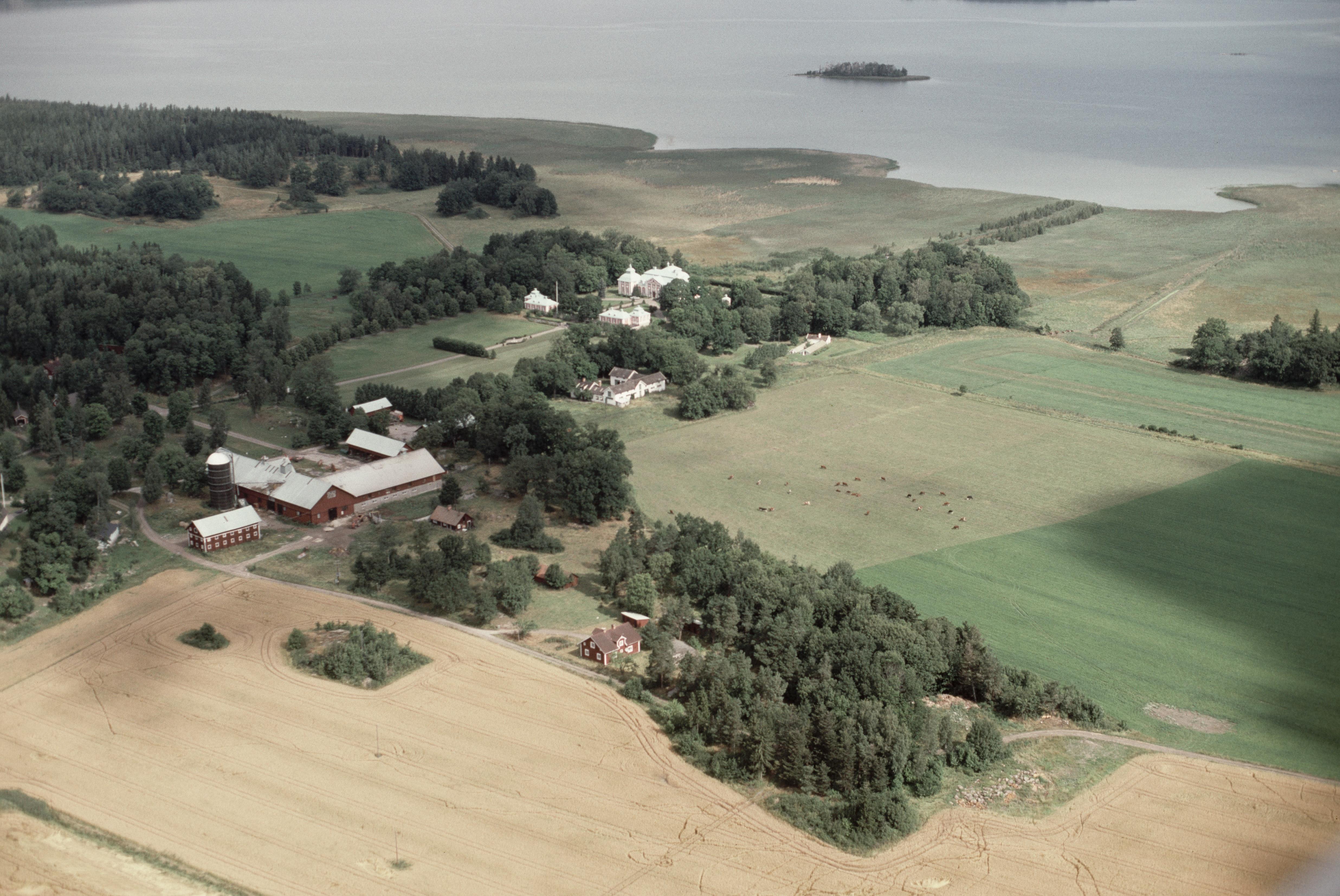 Jan Norrman, Östra Stenby 175:1