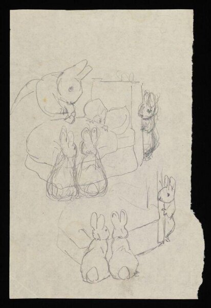 Potter, Beatrix, drawing