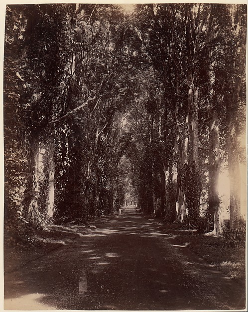Unknown, Buitenzorg Allie, Java