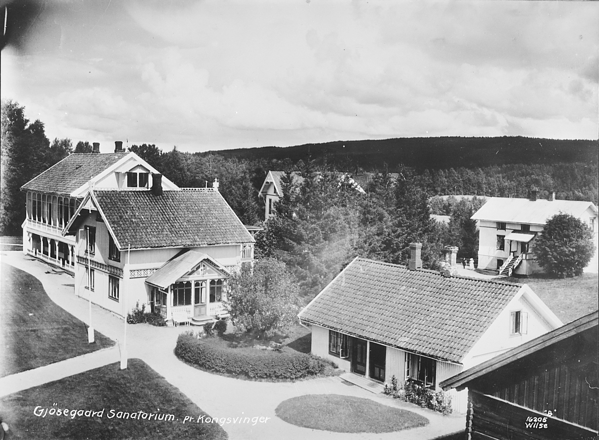 Anders Beer Wilse, Prot: Gjøsegaarden