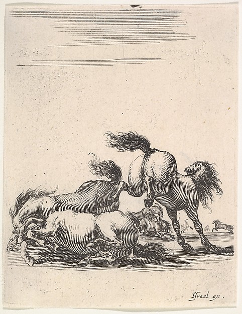 Stefano della Bella, Several horses fighting, one horse to right kicking two horses on the ground below to left, other horses fighting in the background, from "Various cavalry exercises" (Diverses exercices de cavalerie)