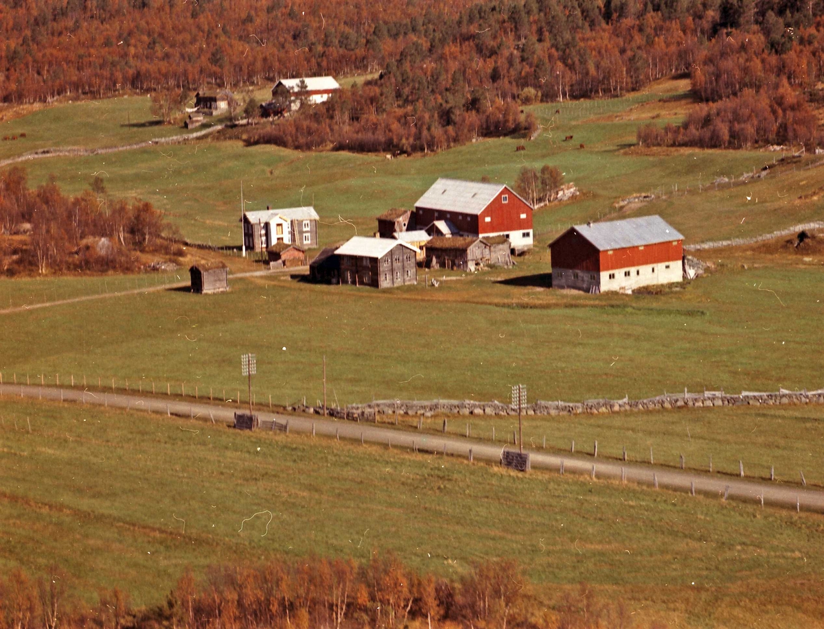 Widerøes Flyveselskap A/S, Gårdsbruk (Ryengårdene).