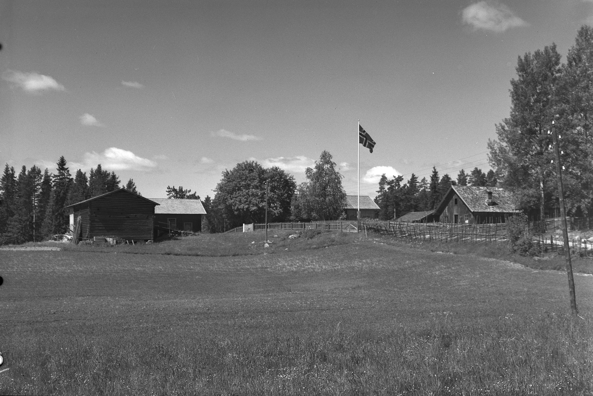 Anno Domkirkeodden, EKSTR: GARDSTUN, HØGVOLD, LØTEN. Se Løtenboka, bind 3. Bygdeboka fra 1955, side 857