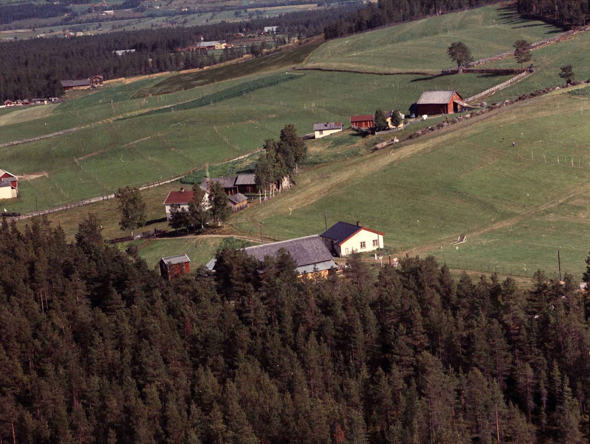 Widerøes Flyveselskap A/S, Gårdsbruk.