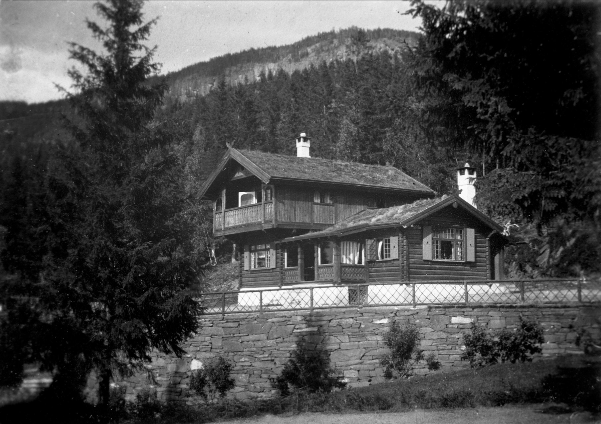 Gustav Borgen, Avfotografering. Tømret villa, åskam i bakgrunnen.
