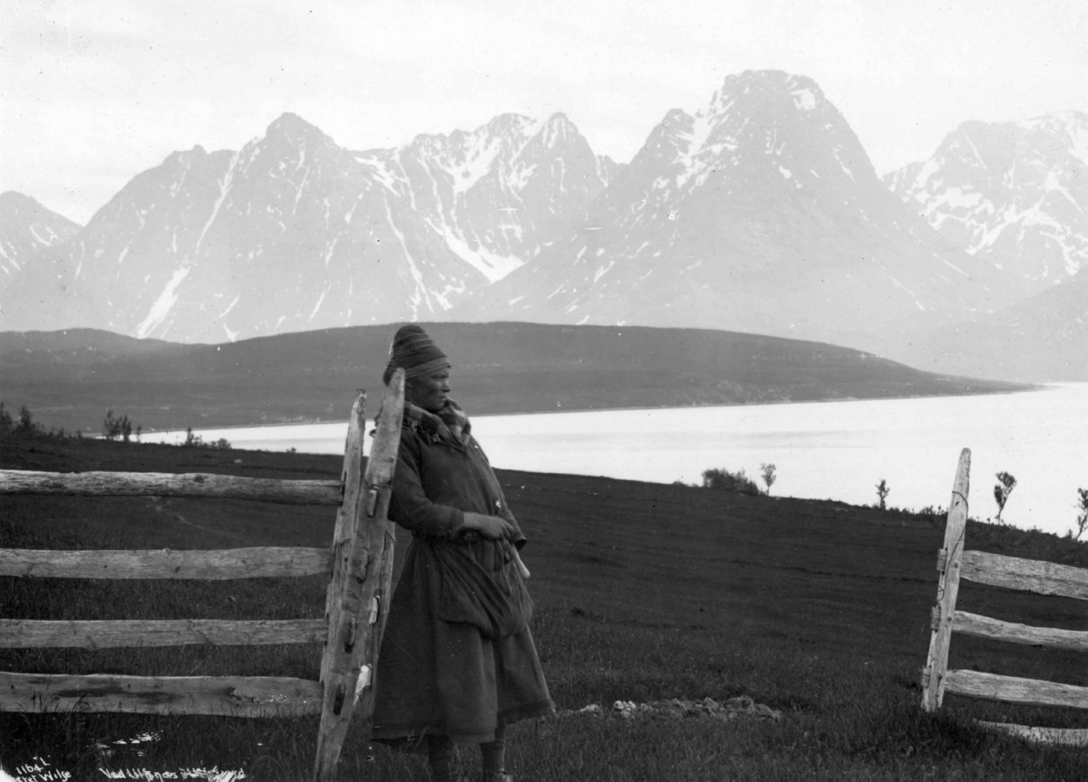 Axel Lindahl, Oversiktsbilde fra Ullsnes med en svensk samejente ved et gjerde. Karlsøy 1889.