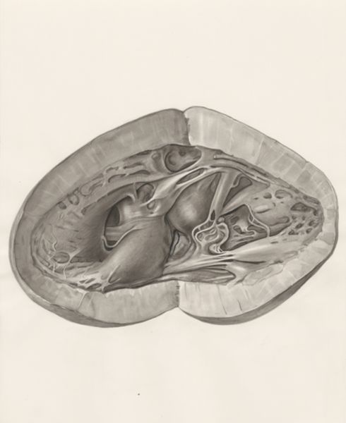 H.G Wetselaar, Heart