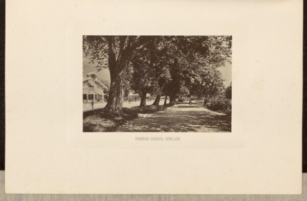 Unknown, Promenade Hoeheweg
