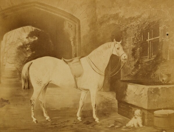 Unknown, [Painting of dog and horse]